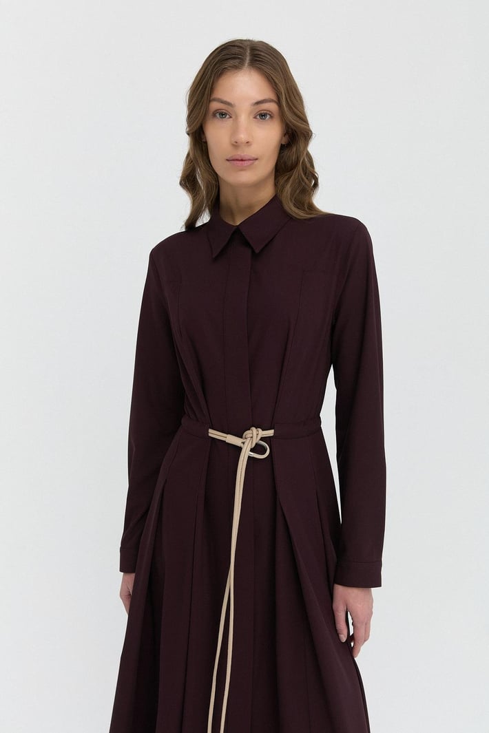 Tailored Belt Dress image 0