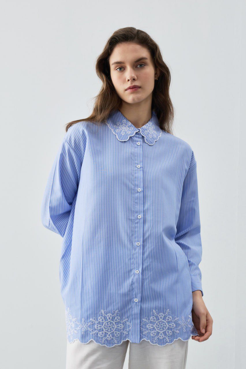 Broidered Striped Shirt image 0